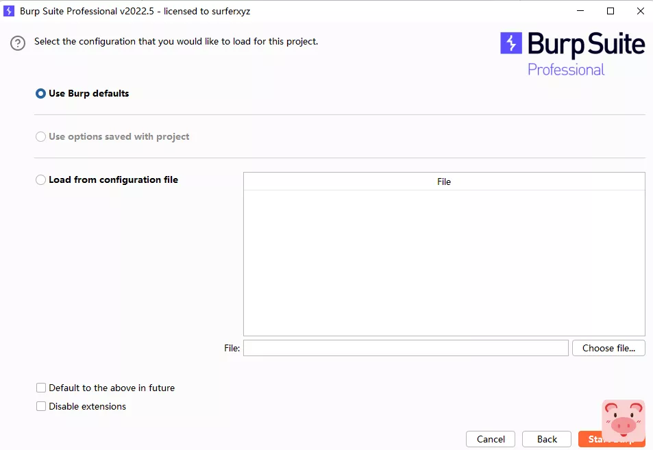 最新BurpSuite2022.5专业破解版下载插图2
