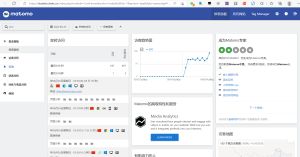 自建网站统计[最完美的cnzz替代方案]-薄荷云博客