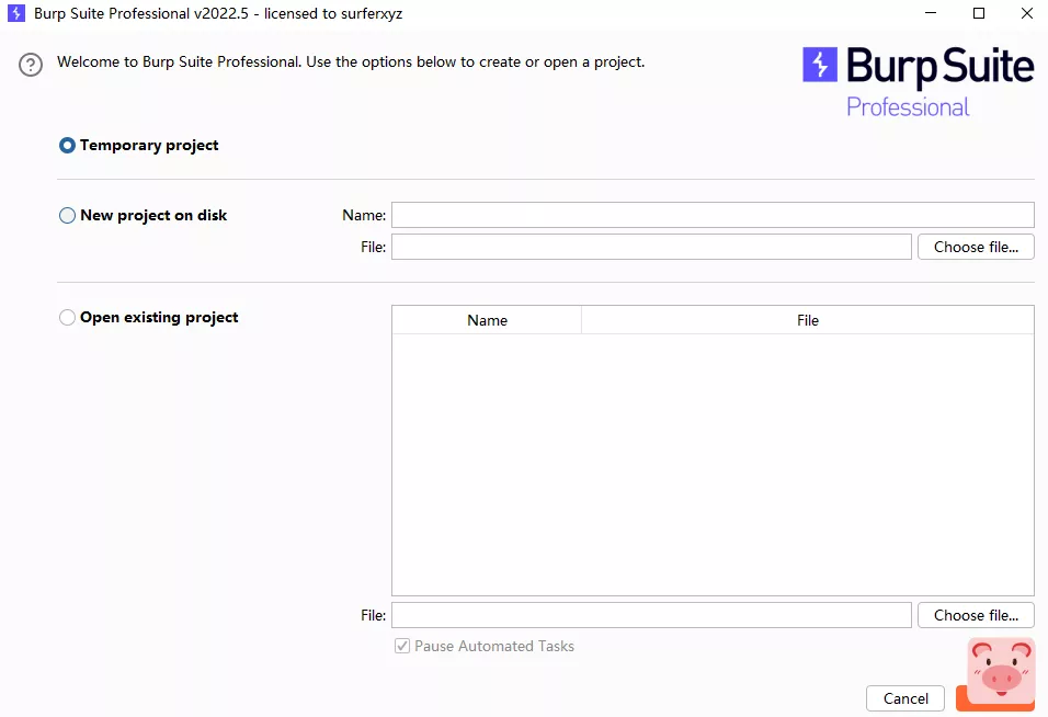 最新BurpSuite2022.5专业破解版下载插图1