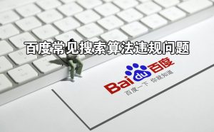 年关将至，这些常见百度算法违规问题，一定要规避哦！-薄荷云博客