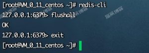 Linux宝塔面板利用ssh命令手动刷新redis缓存-薄荷云博客