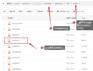 模板添加代码实现自动采集-薄荷云博客