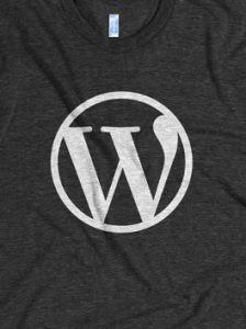 【技术分享】WordPress不闭站的情况下备案且不影响收录的解决方法-薄荷云博客