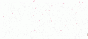 网站添加樱花飘落特效js代码[网站教程]-薄荷云博客