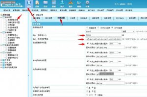 帝国CMS后台前台上传大小和类型限制的解决方法!-薄荷云博客