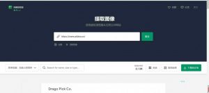 网页图片批量下载的在线网站[网站教程]-薄荷云博客