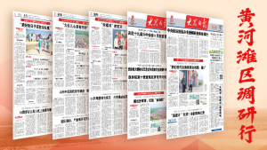 dz搬家(dz搬家后插件乱码)-薄荷云博客