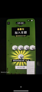 羊了个羊10秒过关教程-薄荷云博客