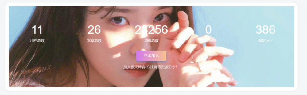 WordPress主题添加底部统计信息模块小工具[WP教程]