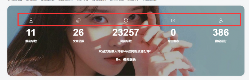 WordPress主题添加底部统计信息模块小工具[WP教程]