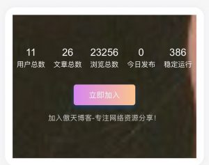 WordPress主题添加底部统计信息模块小工具[WP教程]-薄荷云博客