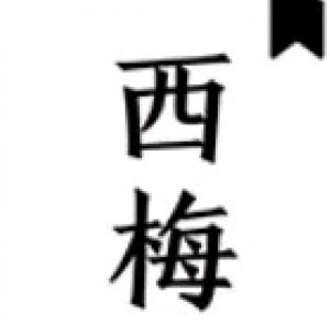 【资源分享】西梅小说（清爽版）-薄荷云博客