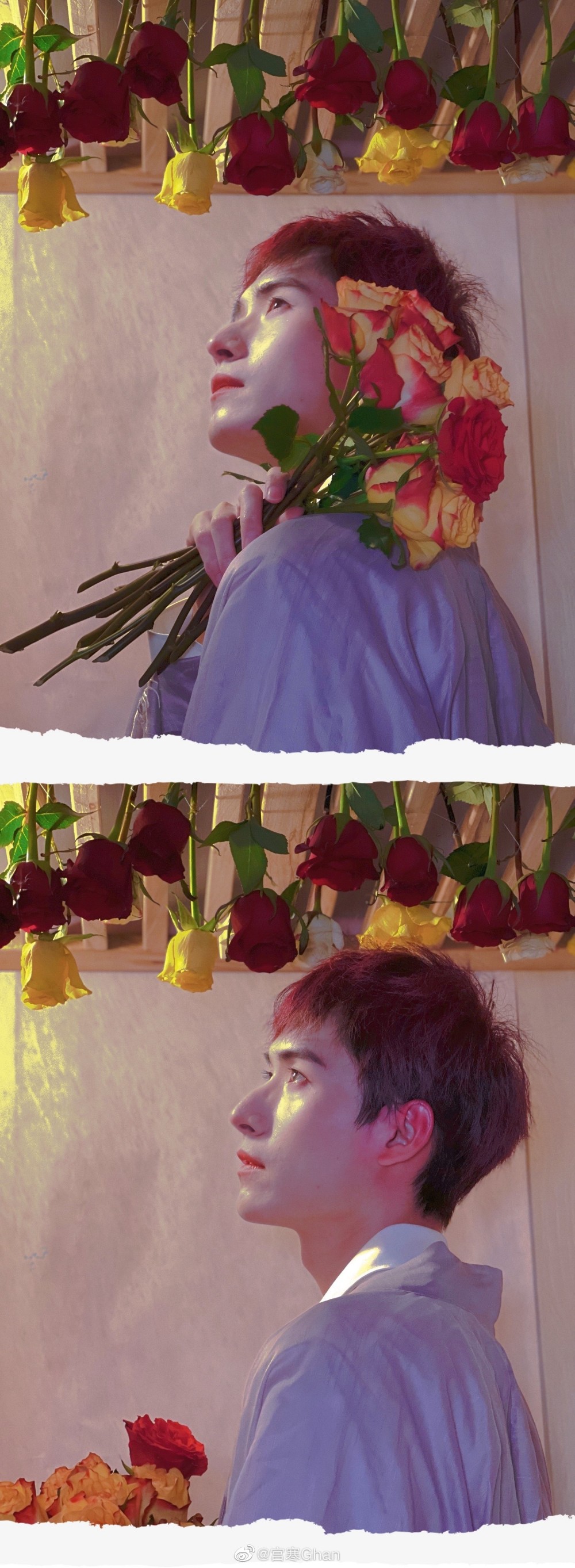 【影视美图】宫寒3