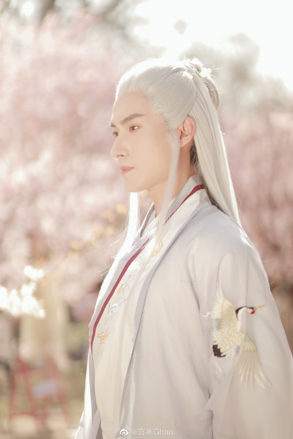 【影视美图】宫寒3