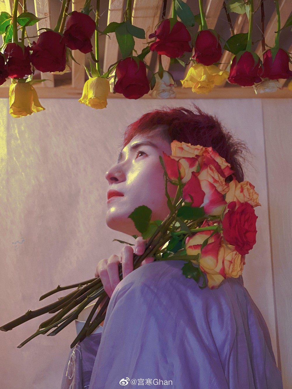 【影视美图】宫寒3