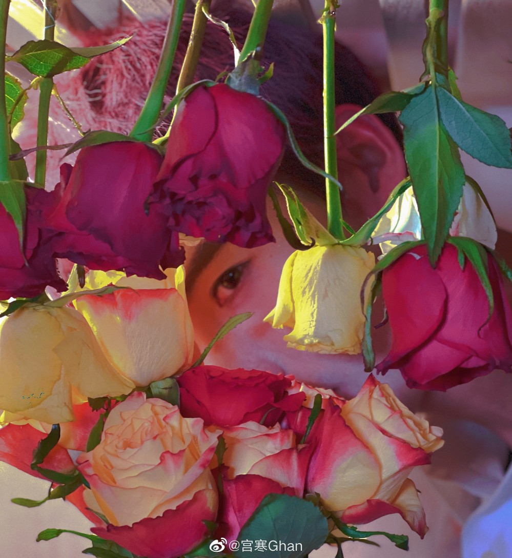 【影视美图】宫寒3