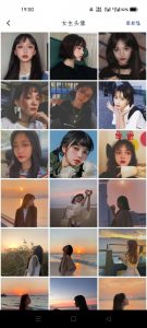 【分享】超好用的找头像软件,骗人是小狗~找配图也行!!-薄荷云博客