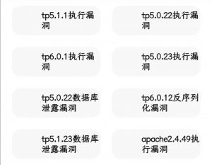【资源分享】突发奇想做出来的手机版漏洞利用软件-薄荷云博客