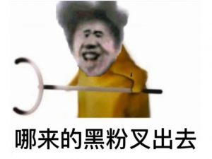 视频解析接口代码及思路-薄荷云博客