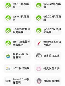 [资源分享]一个简单的漏洞利用软件-薄荷云博客