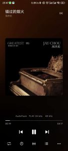 【共庆国庆】椒盐音乐 jio美的本地播放器-薄荷云博客