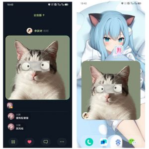 【分享】贴贴 v1.2.2.4超有趣的图片社交/霸屏照片?-薄荷云博客