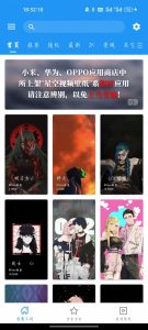 【资源分享】安卓星空视频壁纸v5.13.6纯净版-薄荷云博客